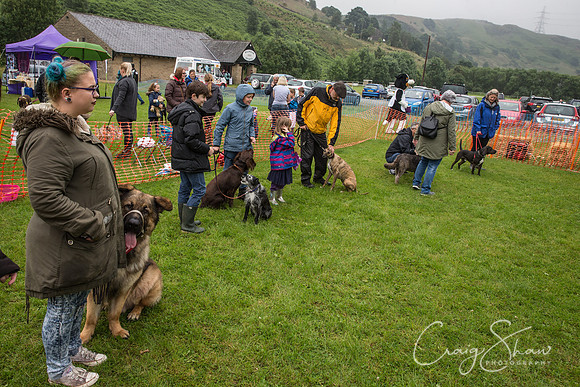 1705_FunDay2017_PAWS_craigshaw