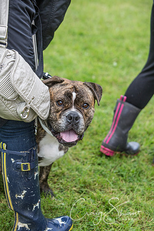 1818_FunDay2017_PAWS_craigshaw