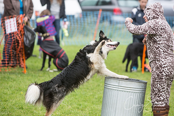 1826_FunDay2017_PAWS_craigshaw