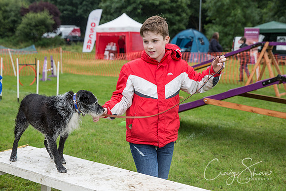 1957_FunDay2017_PAWS_craigshaw
