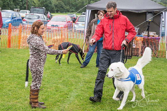 1966_FunDay2017_PAWS_craigshaw