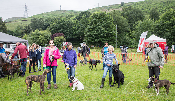 1998_FunDay2017_PAWS_craigshaw
