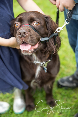 2094_FunDay2017_PAWS_craigshaw