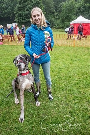 2161_FunDay2017_PAWS_craigshaw