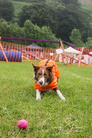 55_FunDay2017_PAWS_craigshaw