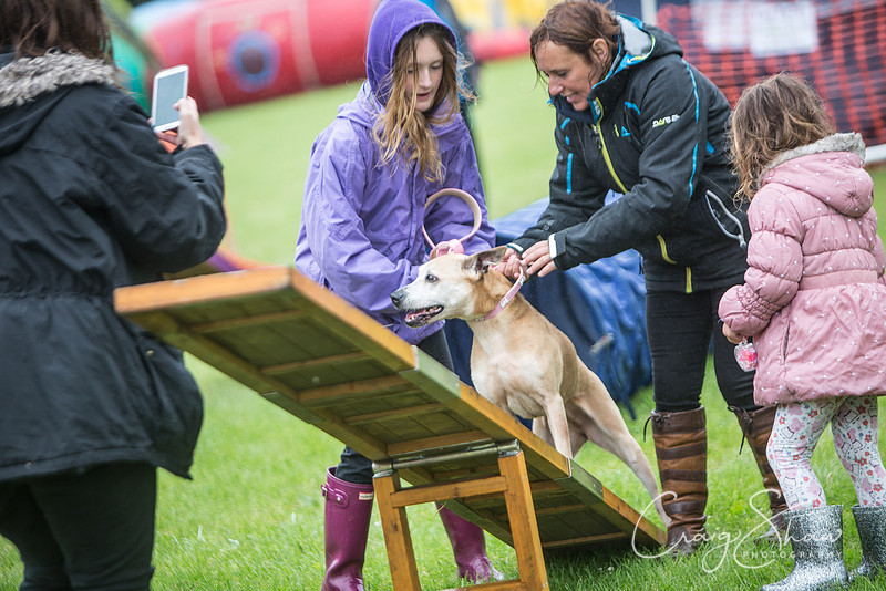 74_FunDay2017_PAWS_craigshaw