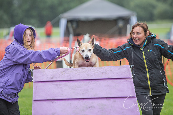 88_FunDay2017_PAWS_craigshaw