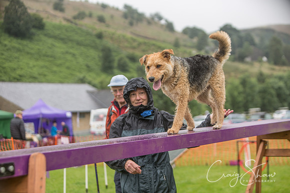 152_FunDay2017_PAWS_craigshaw