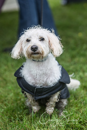 186_FunDay2017_PAWS_craigshaw