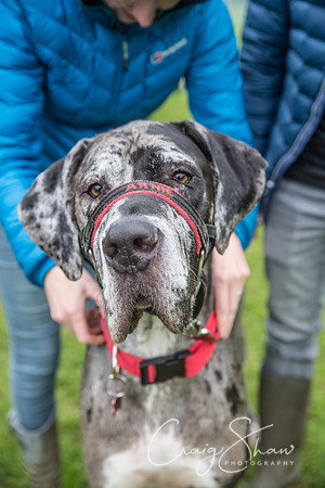 194_FunDay2017_PAWS_craigshaw