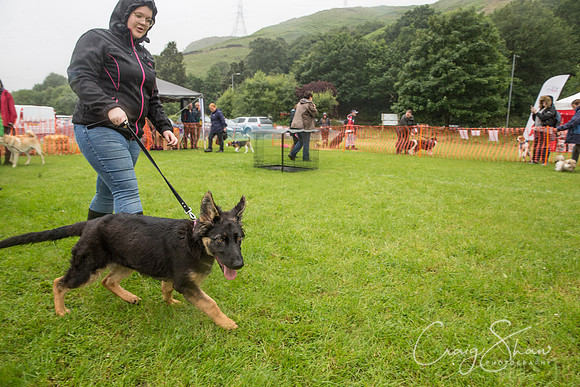 297_FunDay2017_PAWS_craigshaw