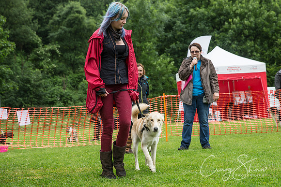 425_FunDay2017_PAWS_craigshaw