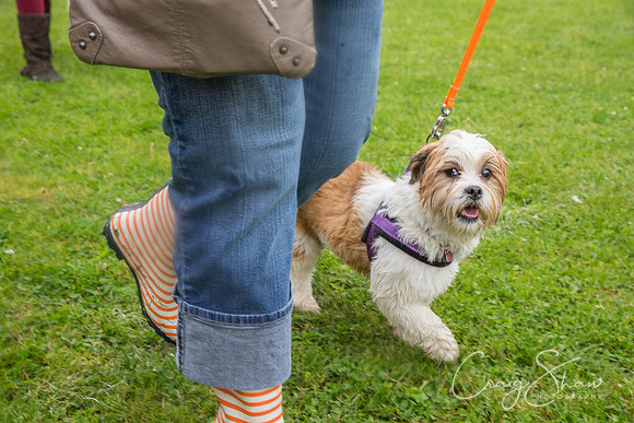 479_FunDay2017_PAWS_craigshaw