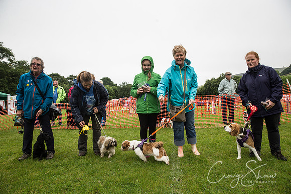 504_FunDay2017_PAWS_craigshaw