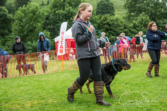 566_FunDay2017_PAWS_craigshaw