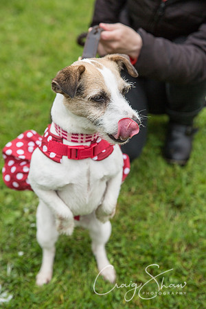 593_FunDay2017_PAWS_craigshaw