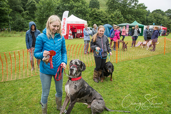 599_FunDay2017_PAWS_craigshaw