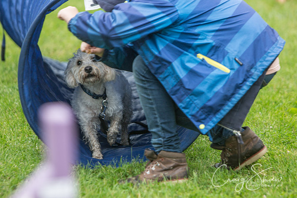 621_FunDay2017_PAWS_craigshaw