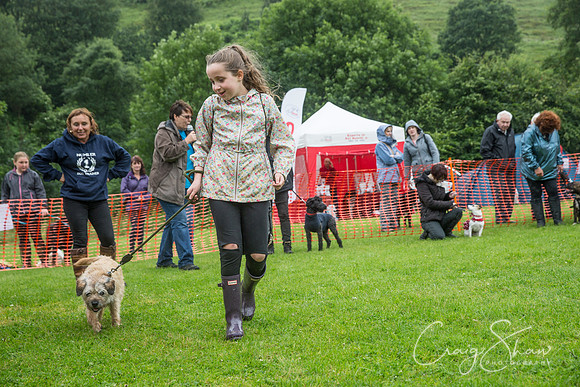 656_FunDay2017_PAWS_craigshaw