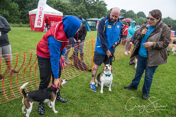 1205_FunDay2017_PAWS_craigshaw
