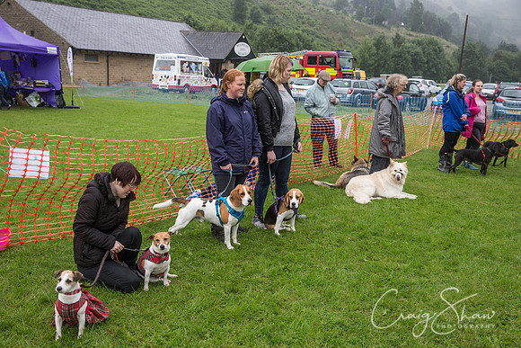 1242_FunDay2017_PAWS_craigshaw