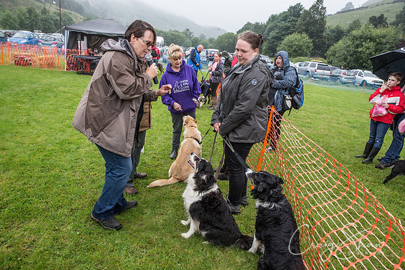 1268_FunDay2017_PAWS_craigshaw