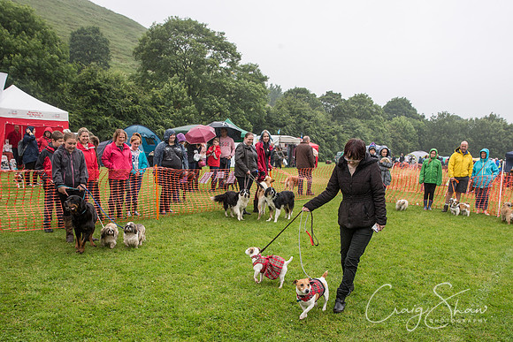 1333_FunDay2017_PAWS_craigshaw