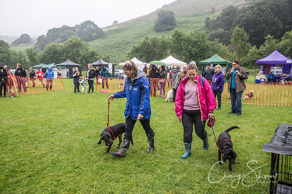 1363_FunDay2017_PAWS_craigshaw