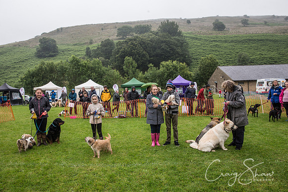 1381_FunDay2017_PAWS_craigshaw