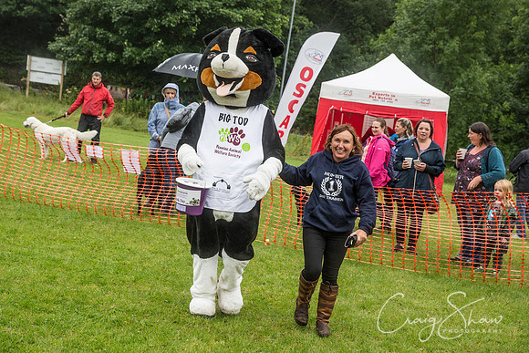 1416_FunDay2017_PAWS_craigshaw