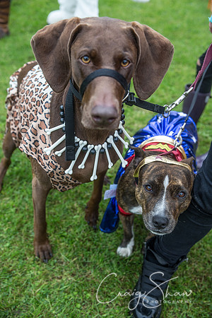 1429_FunDay2017_PAWS_craigshaw