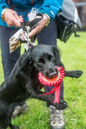 1502_FunDay2017_PAWS_craigshaw