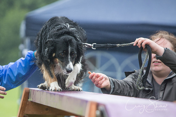1536_FunDay2017_PAWS_craigshaw