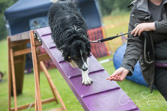 1542_FunDay2017_PAWS_craigshaw