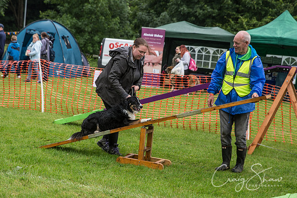 1559_FunDay2017_PAWS_craigshaw