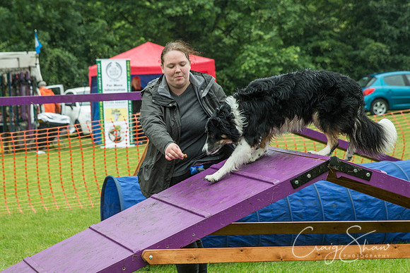1578_FunDay2017_PAWS_craigshaw