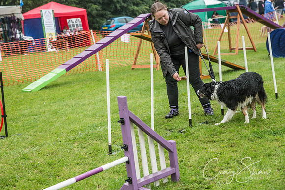 1585_FunDay2017_PAWS_craigshaw
