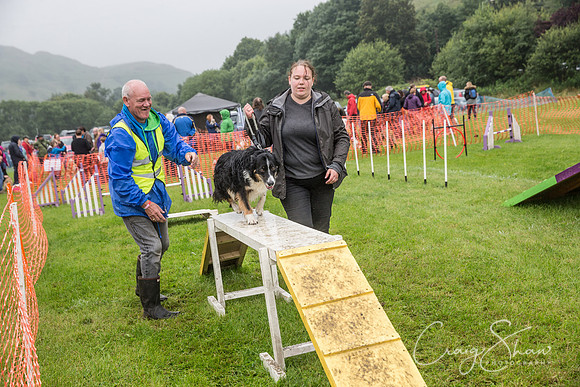 1598_FunDay2017_PAWS_craigshaw