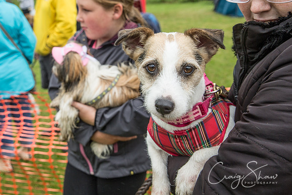 1638_FunDay2017_PAWS_craigshaw