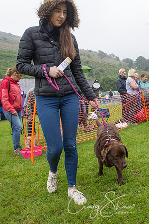 1650_FunDay2017_PAWS_craigshaw