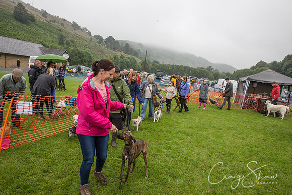 1654_FunDay2017_PAWS_craigshaw