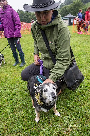 1687_FunDay2017_PAWS_craigshaw