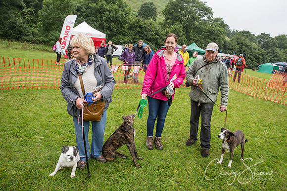 1700_FunDay2017_PAWS_craigshaw