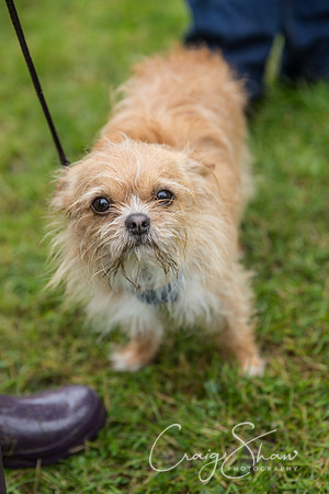 1739_FunDay2017_PAWS_craigshaw