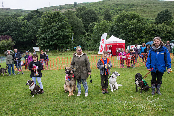 1774_FunDay2017_PAWS_craigshaw