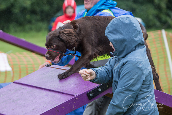 1809_FunDay2017_PAWS_craigshaw