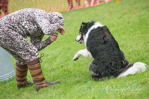 1840_FunDay2017_PAWS_craigshaw