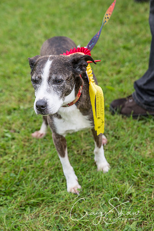 2113_FunDay2017_PAWS_craigshaw
