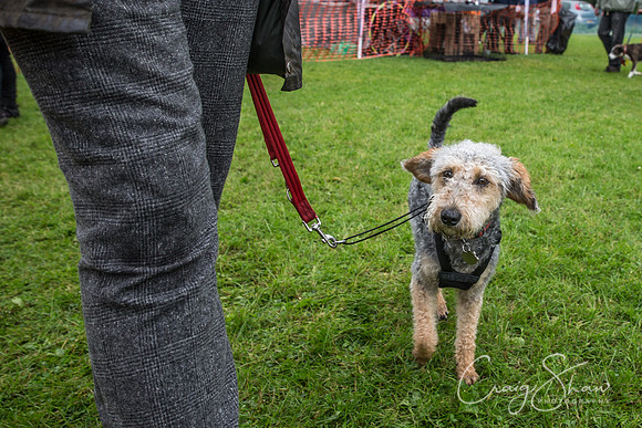 2126_FunDay2017_PAWS_craigshaw