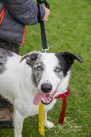 2147_FunDay2017_PAWS_craigshaw
